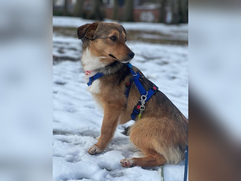 Haily - sucht geduldige Herzensmenschen