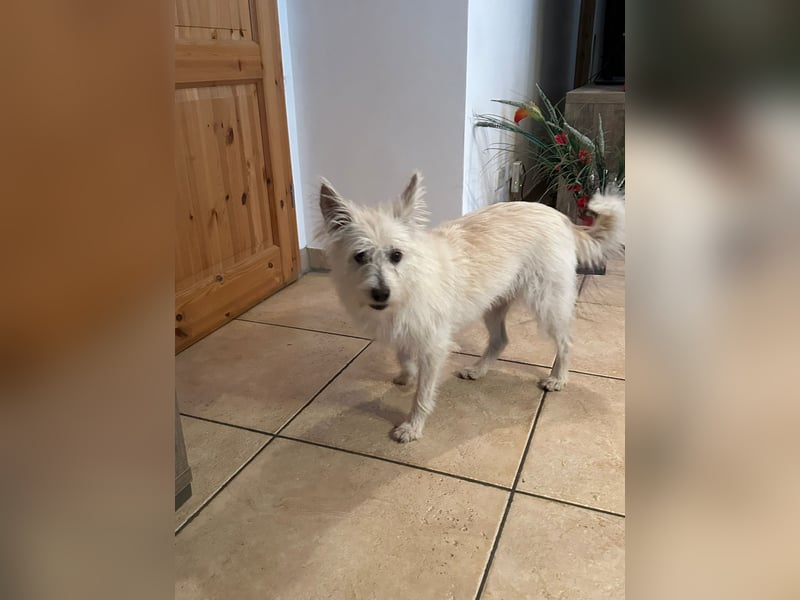 Lucy verliert leider ihr Zuhause