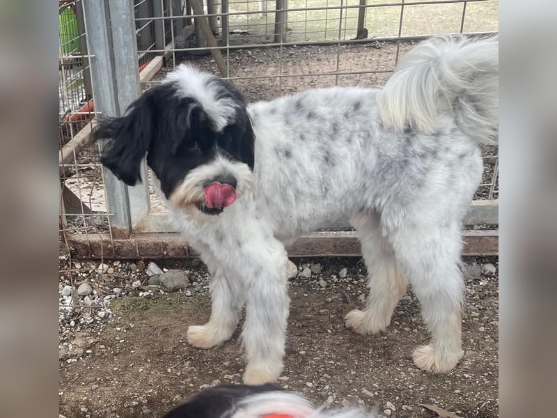 Lakis sehnt sich nach Liebe und Geborgenheit