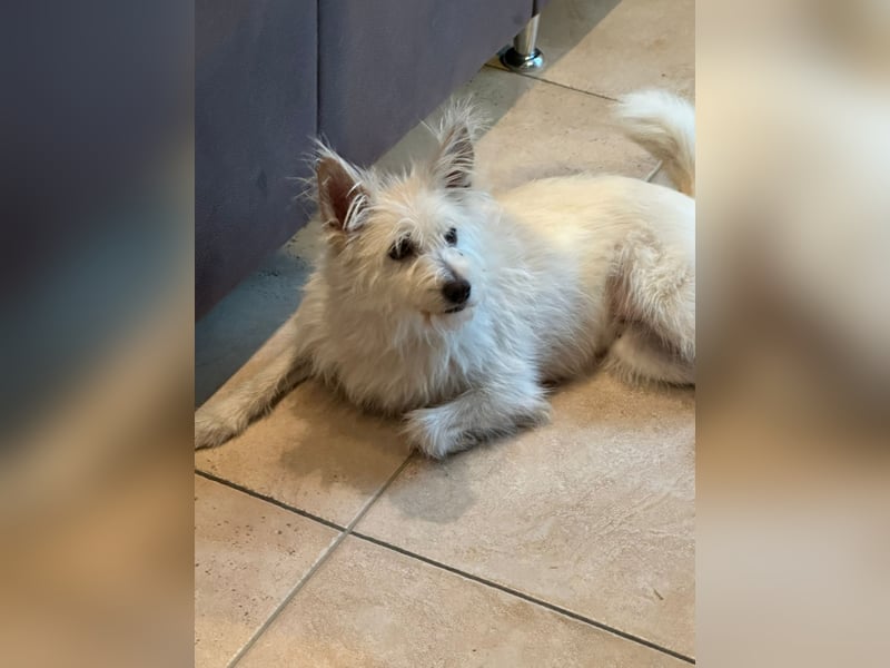 Lucy verliert leider ihr Zuhause