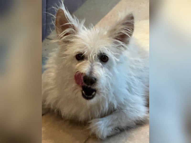 Lucy verliert leider ihr Zuhause