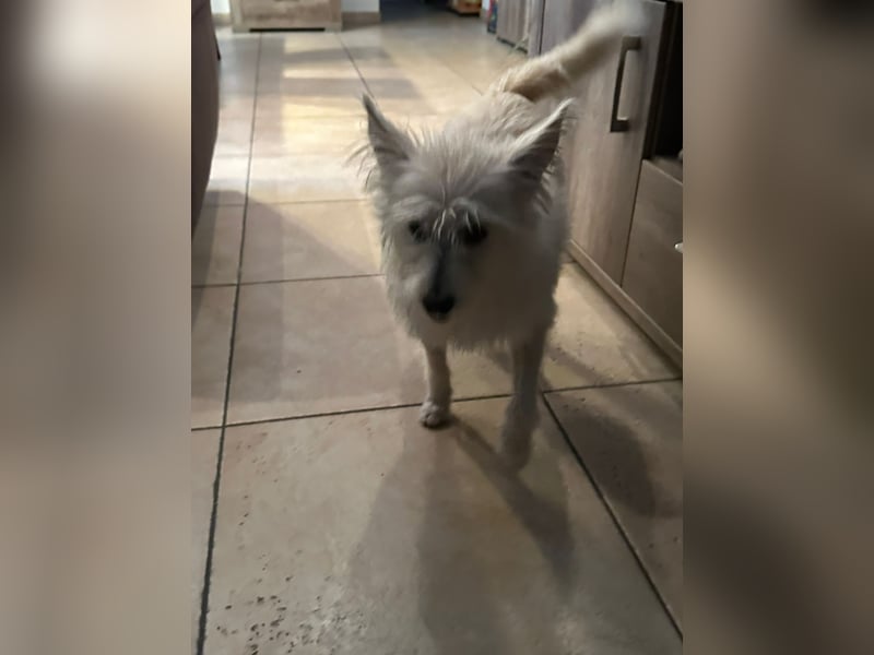 Lucy verliert leider ihr Zuhause