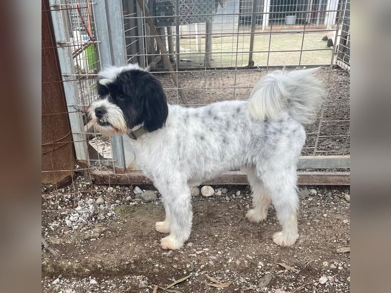 Lakis sehnt sich nach Liebe und Geborgenheit