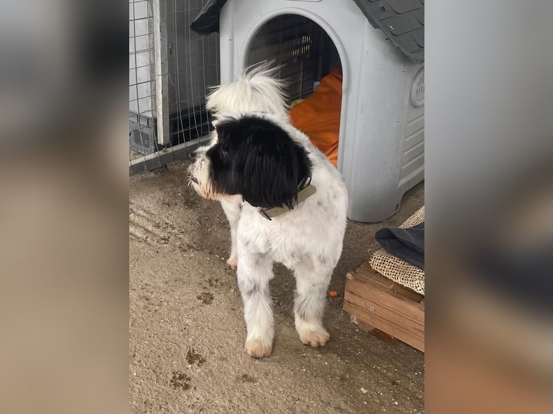 Lakis sehnt sich nach Liebe und Geborgenheit