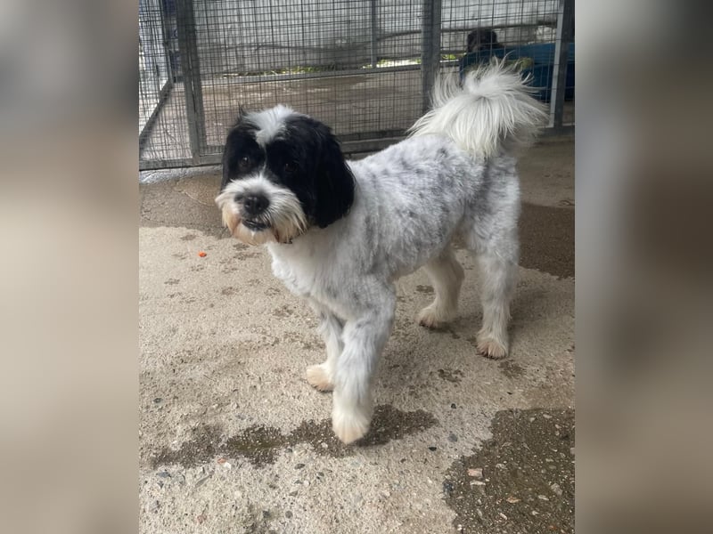 Lakis sehnt sich nach Liebe und Geborgenheit