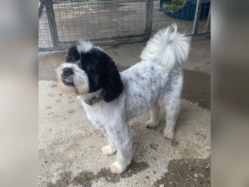 Lakis sehnt sich nach Liebe und Geborgenheit