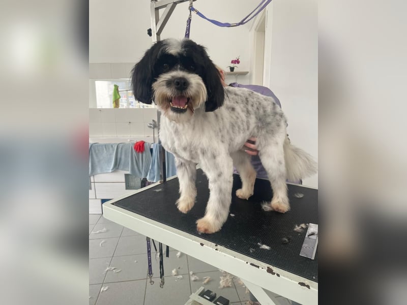 Lakis sehnt sich nach Liebe und Geborgenheit