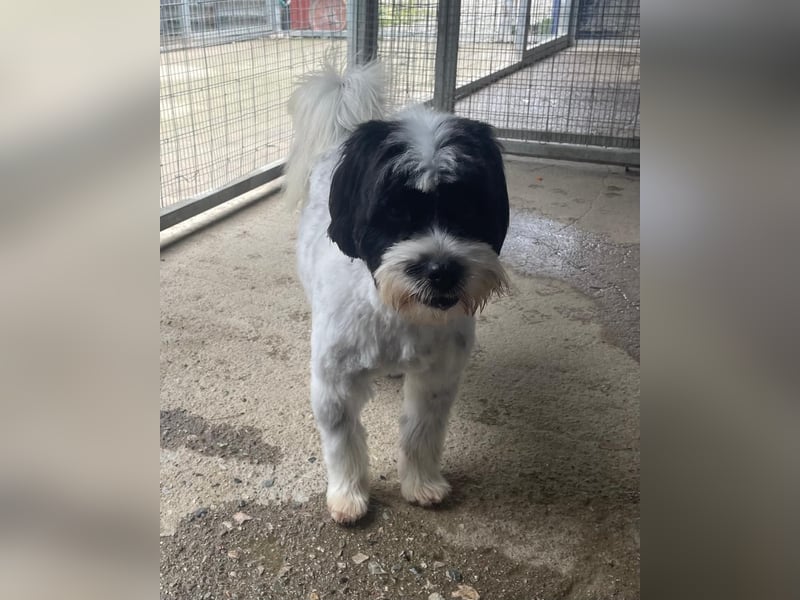 Lakis sehnt sich nach Liebe und Geborgenheit