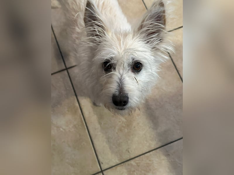 Lucy verliert leider ihr Zuhause