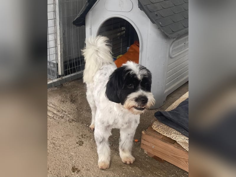 Lakis sehnt sich nach Liebe und Geborgenheit