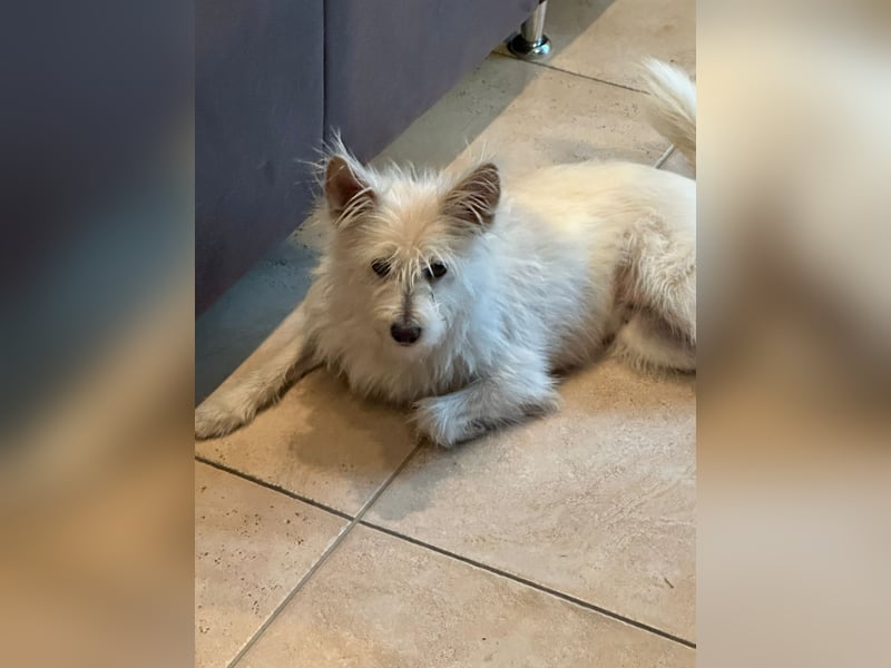 Lucy verliert leider ihr Zuhause