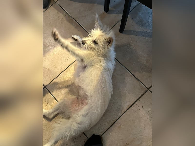 Lucy verliert leider ihr Zuhause