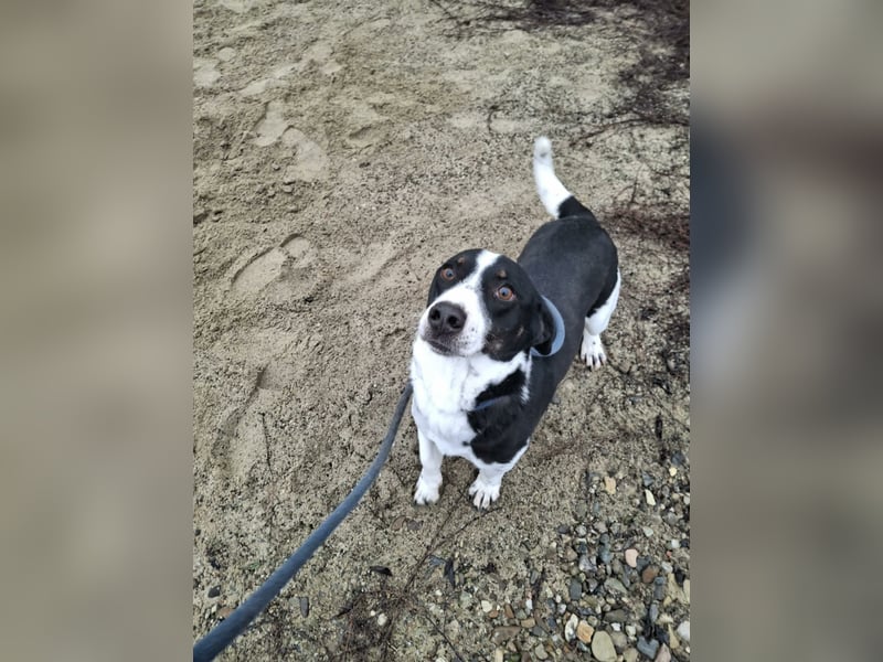 Pepito möchte endlich ankommen