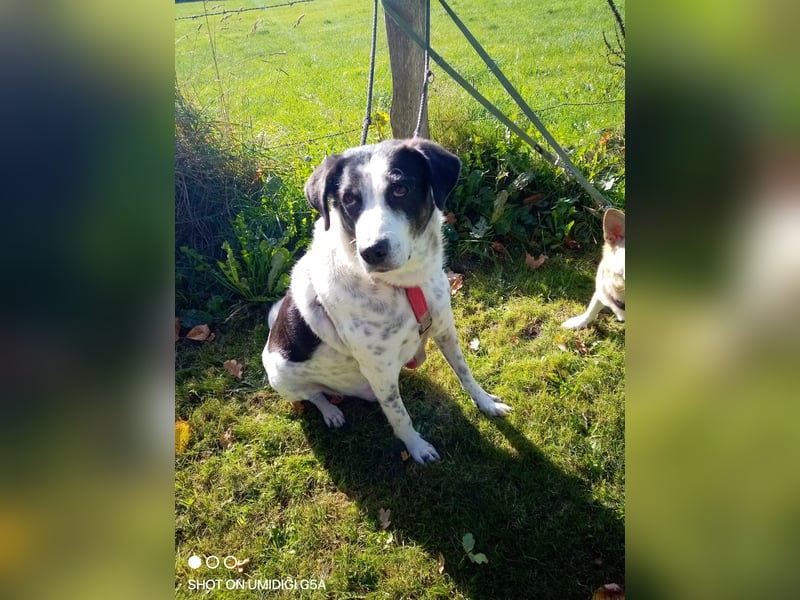 Finja und Lou suchen Dich