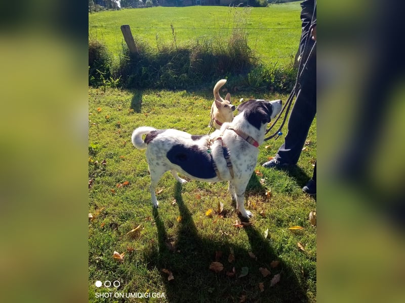 Finja und Lou suchen Dich