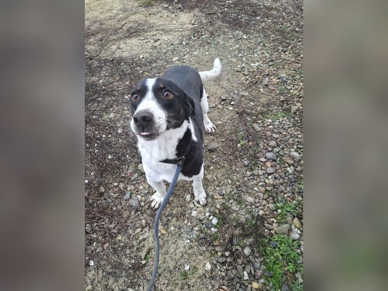 Pepito möchte endlich ankommen