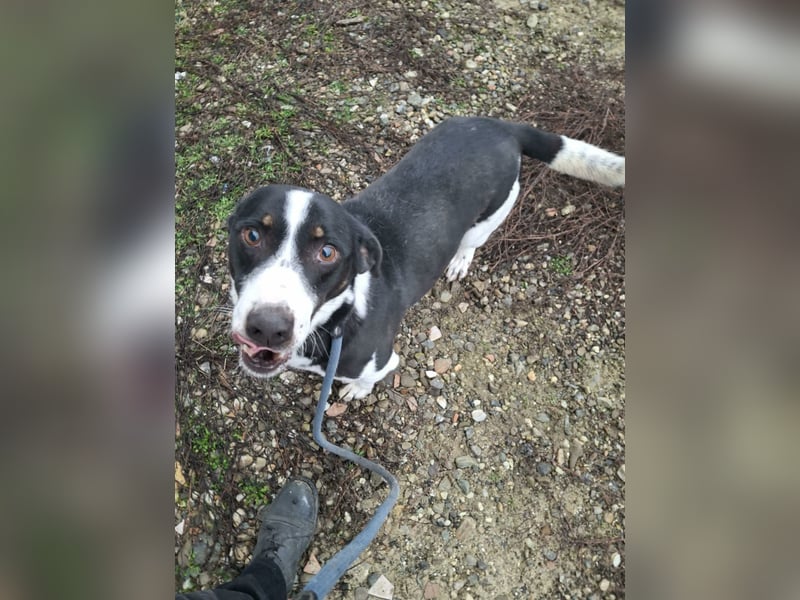 Pepito möchte endlich ankommen