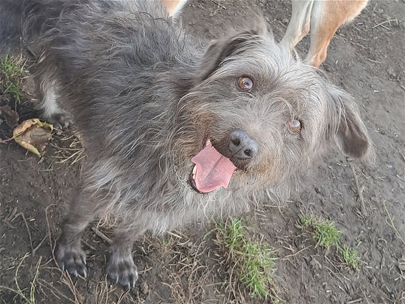 Kleine Paris ( * 10.2019 ) sucht ihre Familie