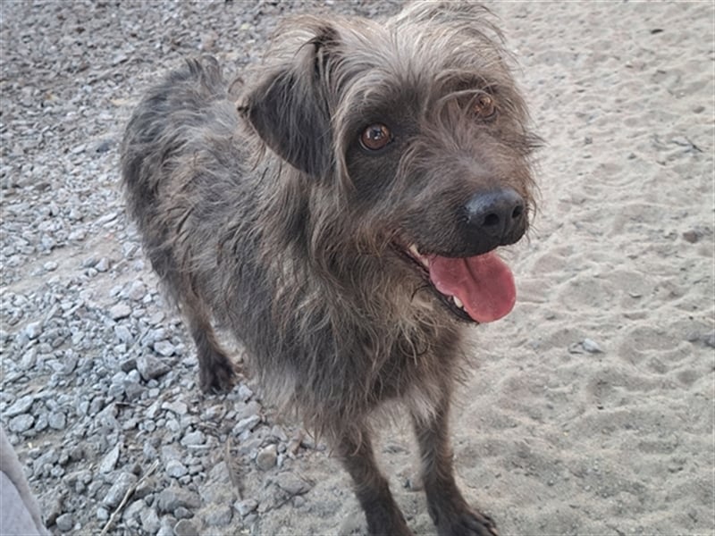 Kleine Paris ( * 10.2019 ) sucht ihre Familie