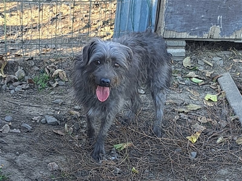 Kleine Paris ( * 10.2019 ) sucht ihre Familie