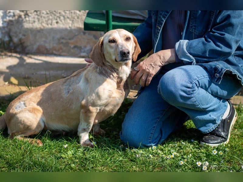 Freundliche J.J ( * 02 / 2023 ) sucht ihre Familie