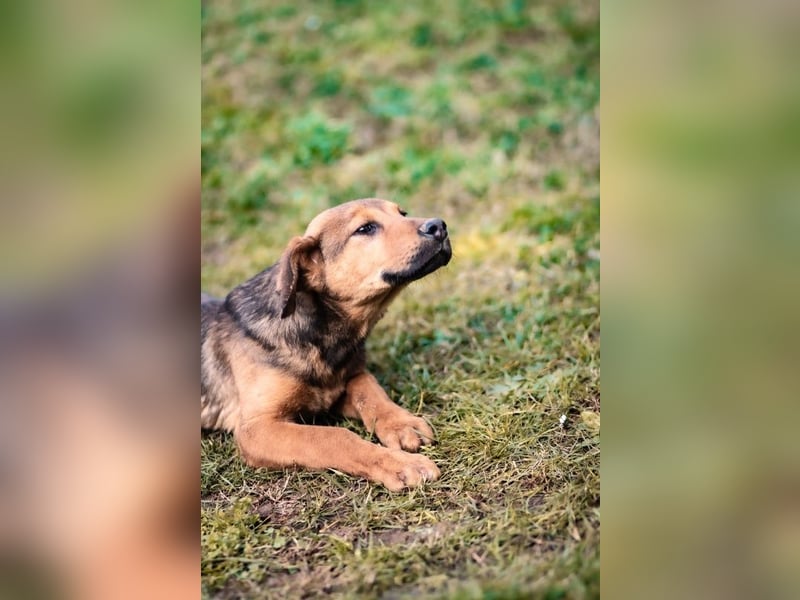 Kleiner Jinn ( * 08/2025 ) sucht seine Familie