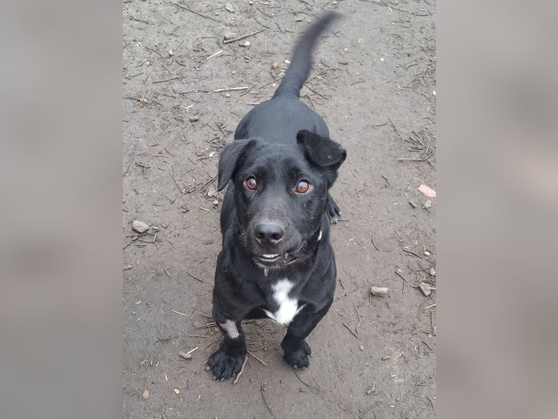 Kleiner Elvis ( * 04 / 2021 ) sucht seine Menschen