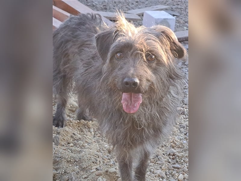 Kleine Paris ( * 10.2019 ) sucht ihre Familie