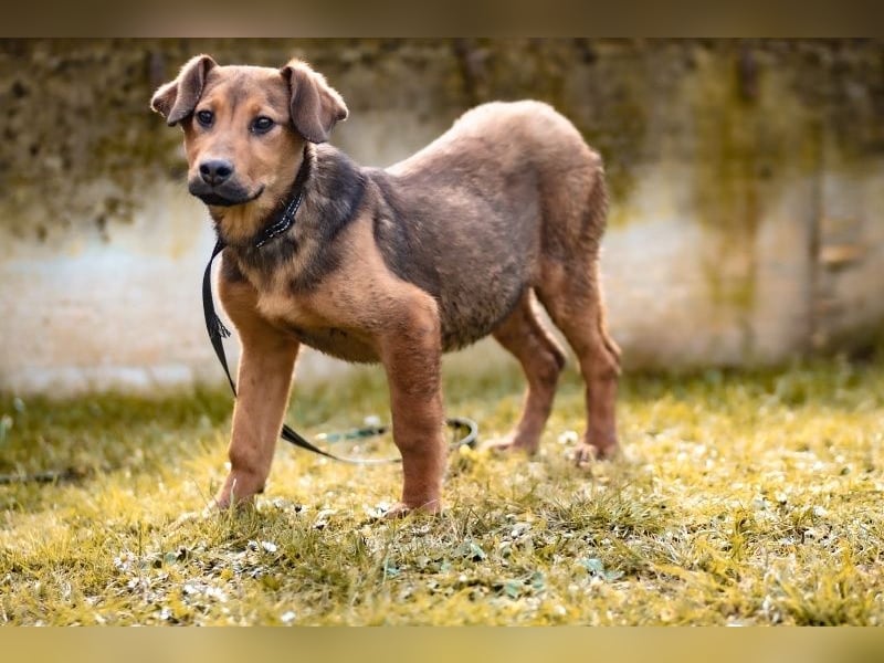 Kleiner Jinn ( * 08/2025 ) sucht seine Familie