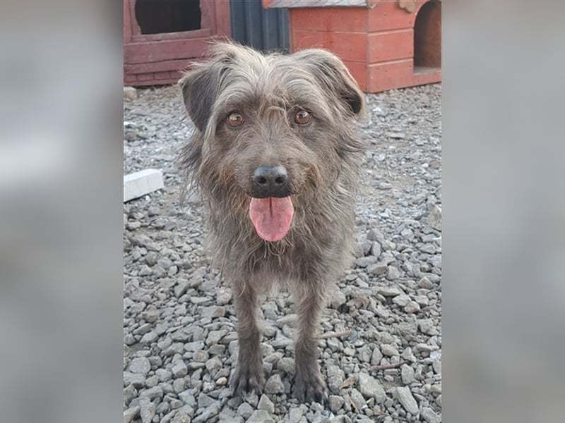 Kleine Paris ( * 10.2019 ) sucht ihre Familie