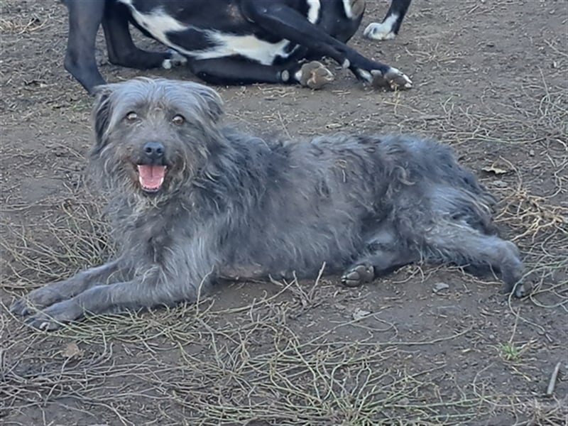 Kleine Paris ( * 10.2019 ) sucht ihre Familie