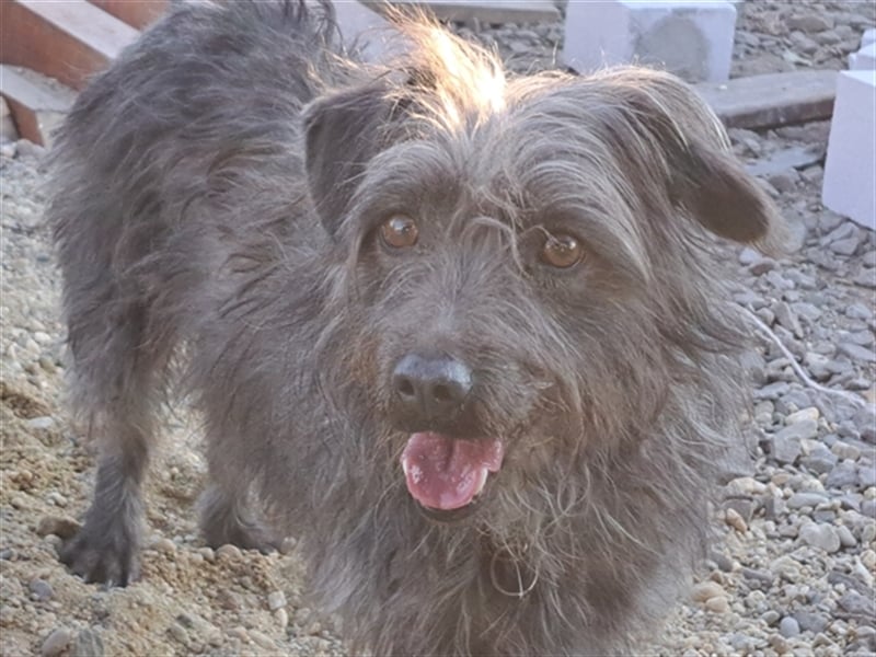 Kleine Paris ( * 10.2019 ) sucht ihre Familie