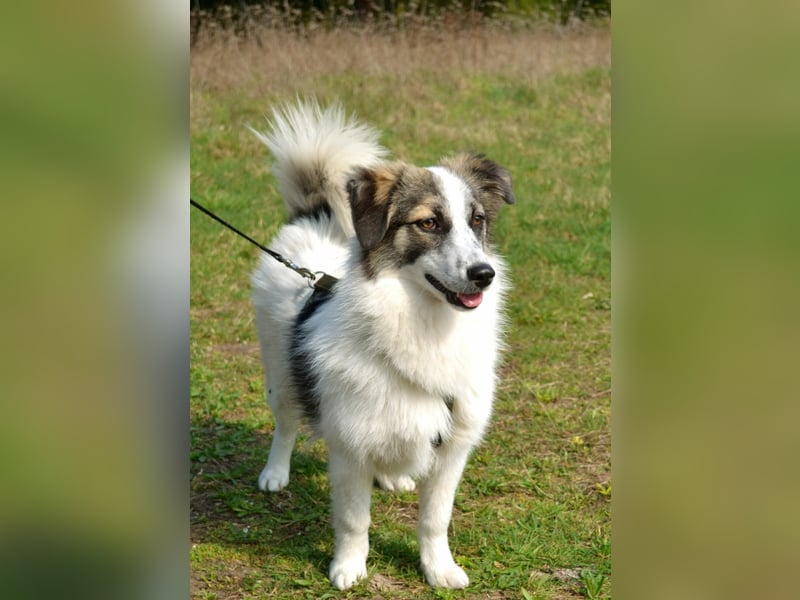 Pünktchen- eine feinfühlige Entdeckerin