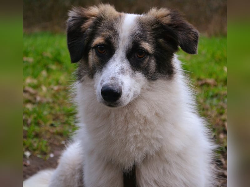 Pünktchen- eine feinfühlige Entdeckerin