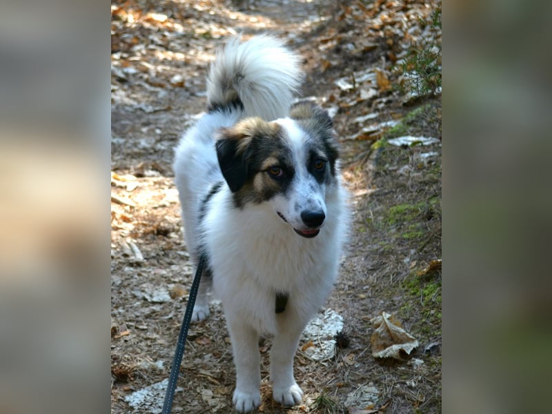 Pünktchen- eine feinfühlige Entdeckerin