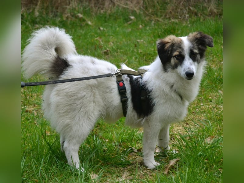 Pünktchen- eine feinfühlige Entdeckerin