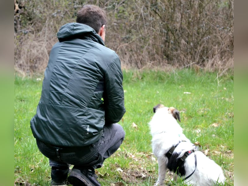 Pünktchen- eine feinfühlige Entdeckerin