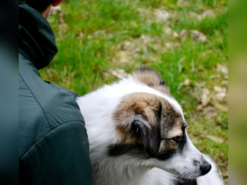 Pünktchen- eine feinfühlige Entdeckerin