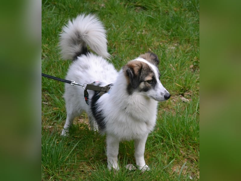 Pünktchen- eine feinfühlige Entdeckerin