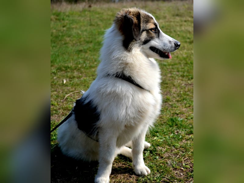 Pünktchen- eine feinfühlige Entdeckerin