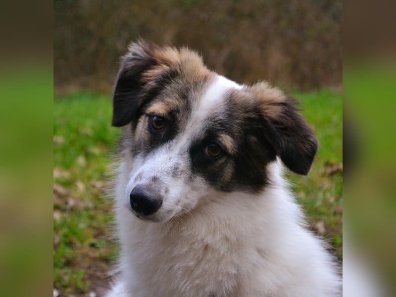 Pünktchen- eine feinfühlige Entdeckerin