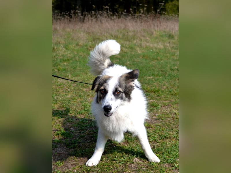 Pünktchen- eine feinfühlige Entdeckerin