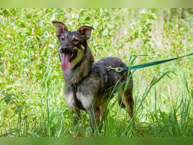 Liebevolle Olivka sucht ihren platz