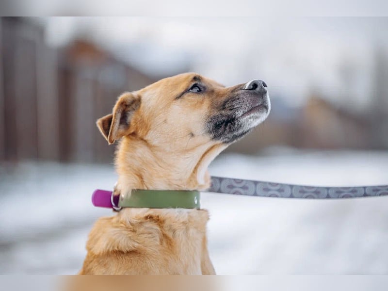 Kasper der wunderschöne...