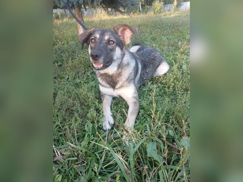 Verzaubert Lori dich mit ihren augen ?!