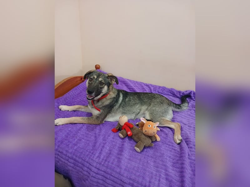 Verzaubert Lori dich mit ihren augen ?!