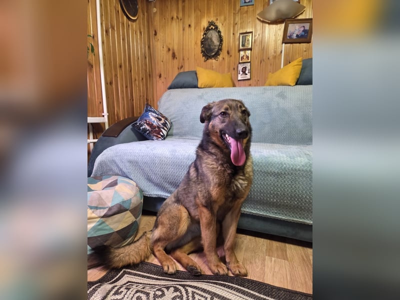 Ein Herz für Vasilisa geben Sie ihr eine Chance auf ein glückliches Leben!