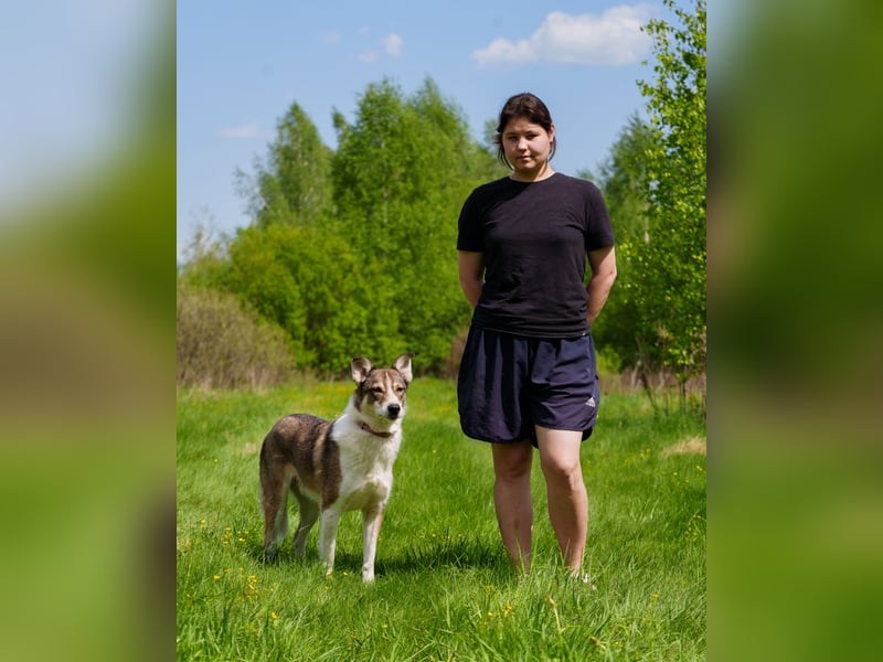 Traum zuhause für Choppy gesucht