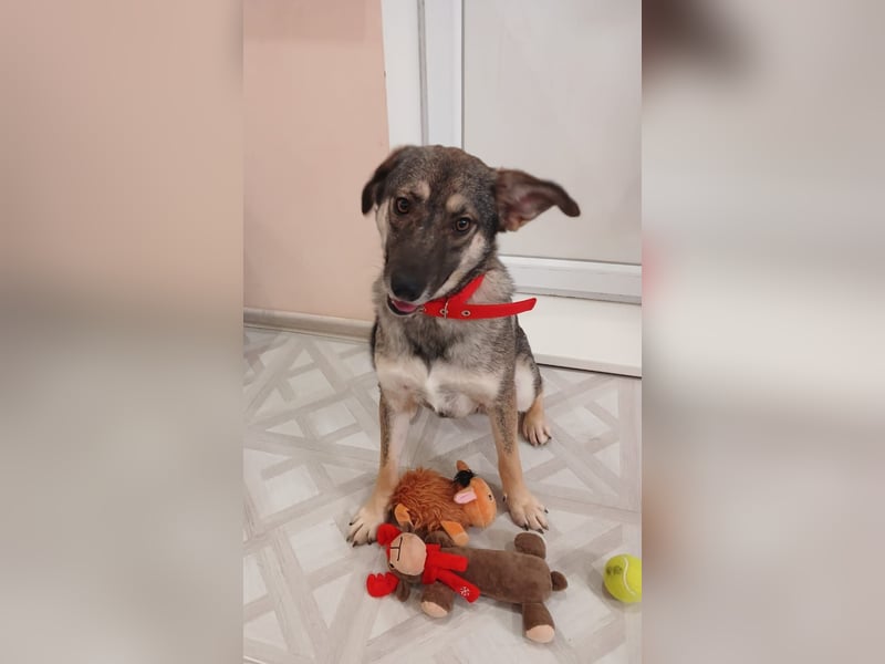 Verzaubert Lori dich mit ihren augen ?!