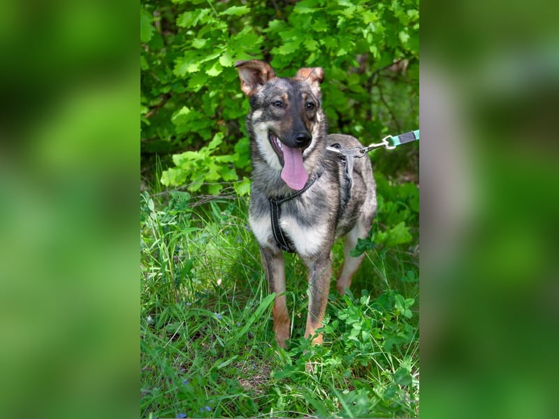 Liebevolle Olivka sucht ihren platz